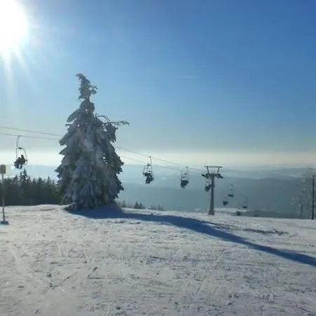 別荘 Urlaub Im Bayerwaldblockhaus - Huette Im Bayerischen Wald In フィリップシュロイト